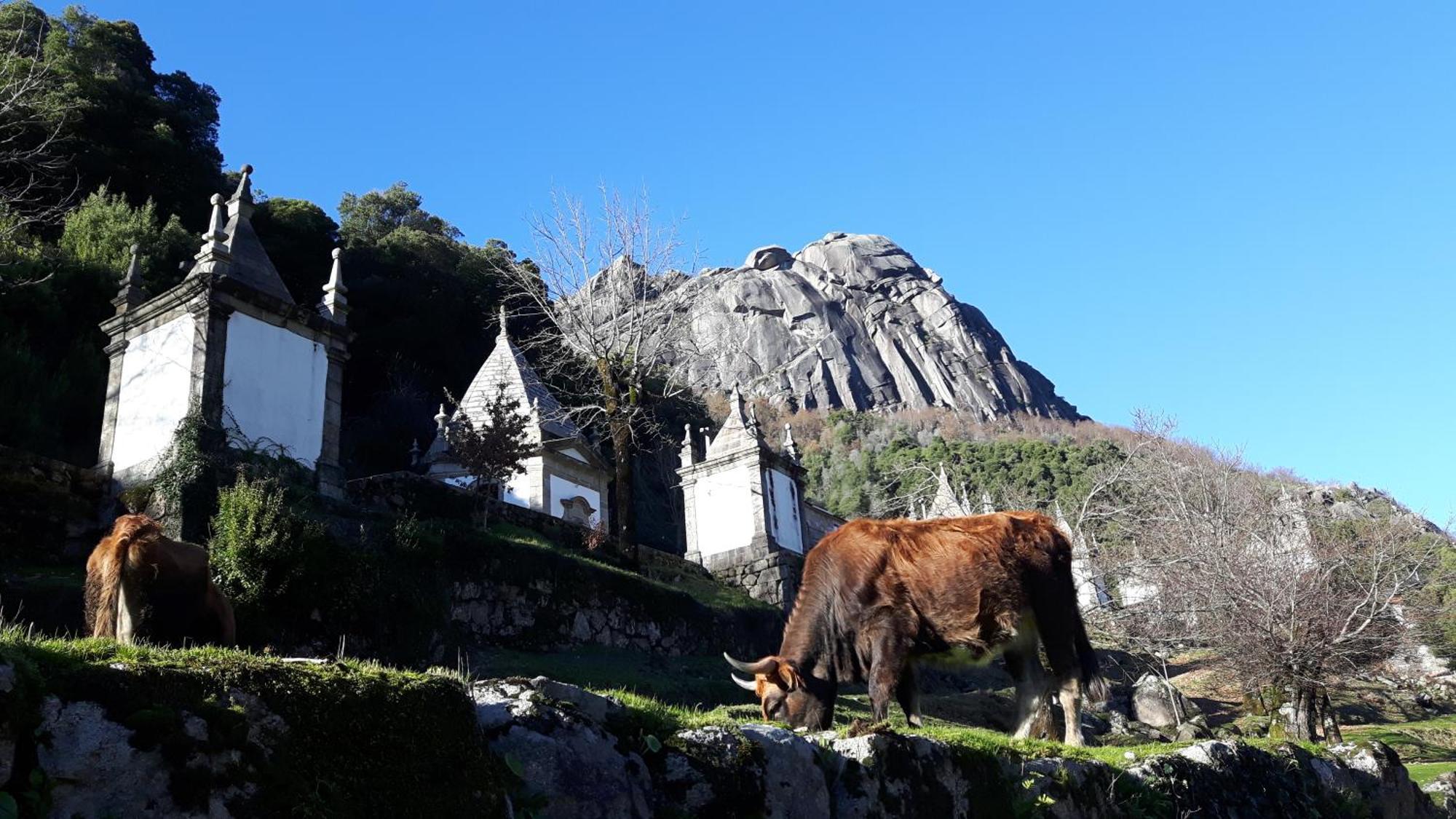 Penedino Mountain Cottage اركوس دي فالديفيز المظهر الخارجي الصورة